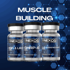 Muscle Building