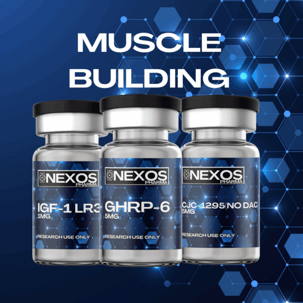 Muscle Building
