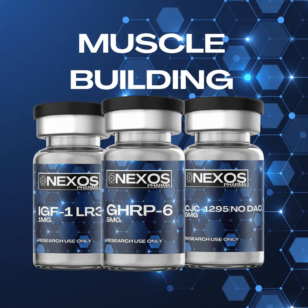 Muscle Building