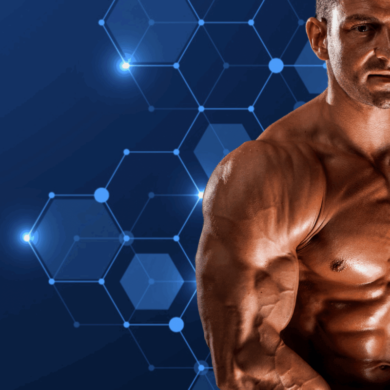 Nexos Banner 2